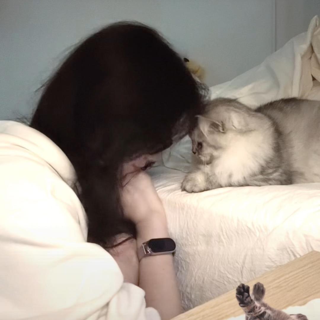 一口吃不夏女士