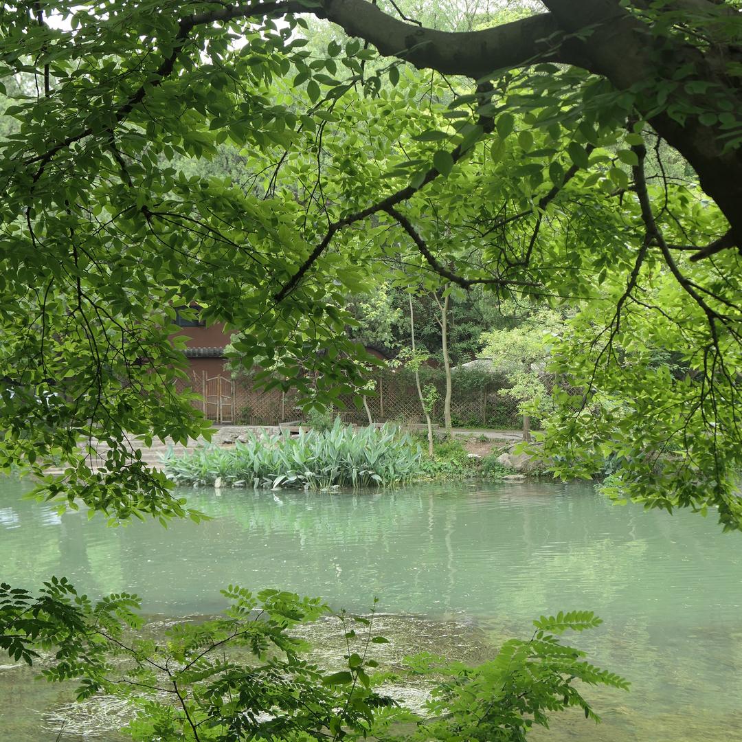 岚茵Nuyoah