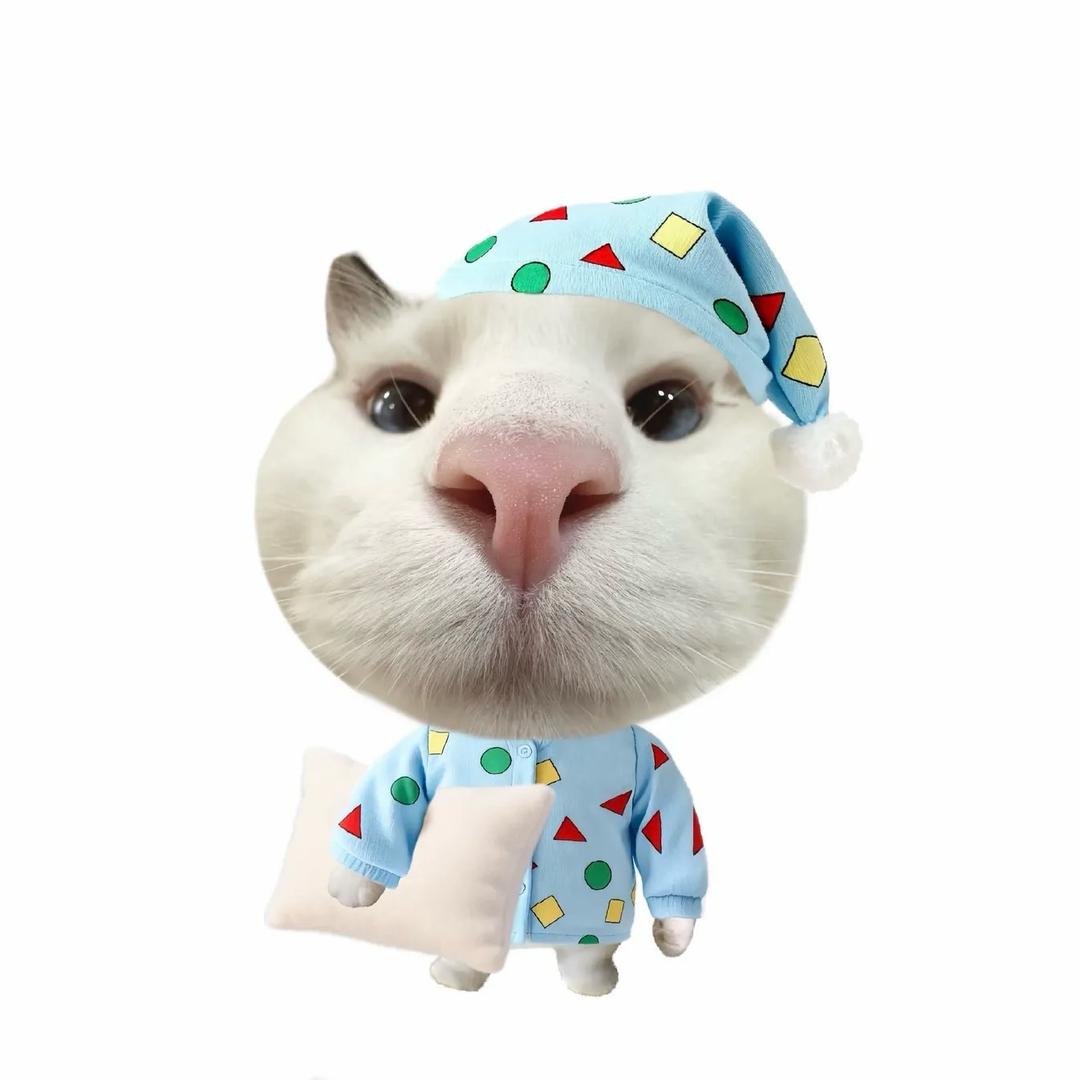 ʷᵒ ʰᵃᵒ ˣⁱᵃⁿᵍ ⁿⁱ