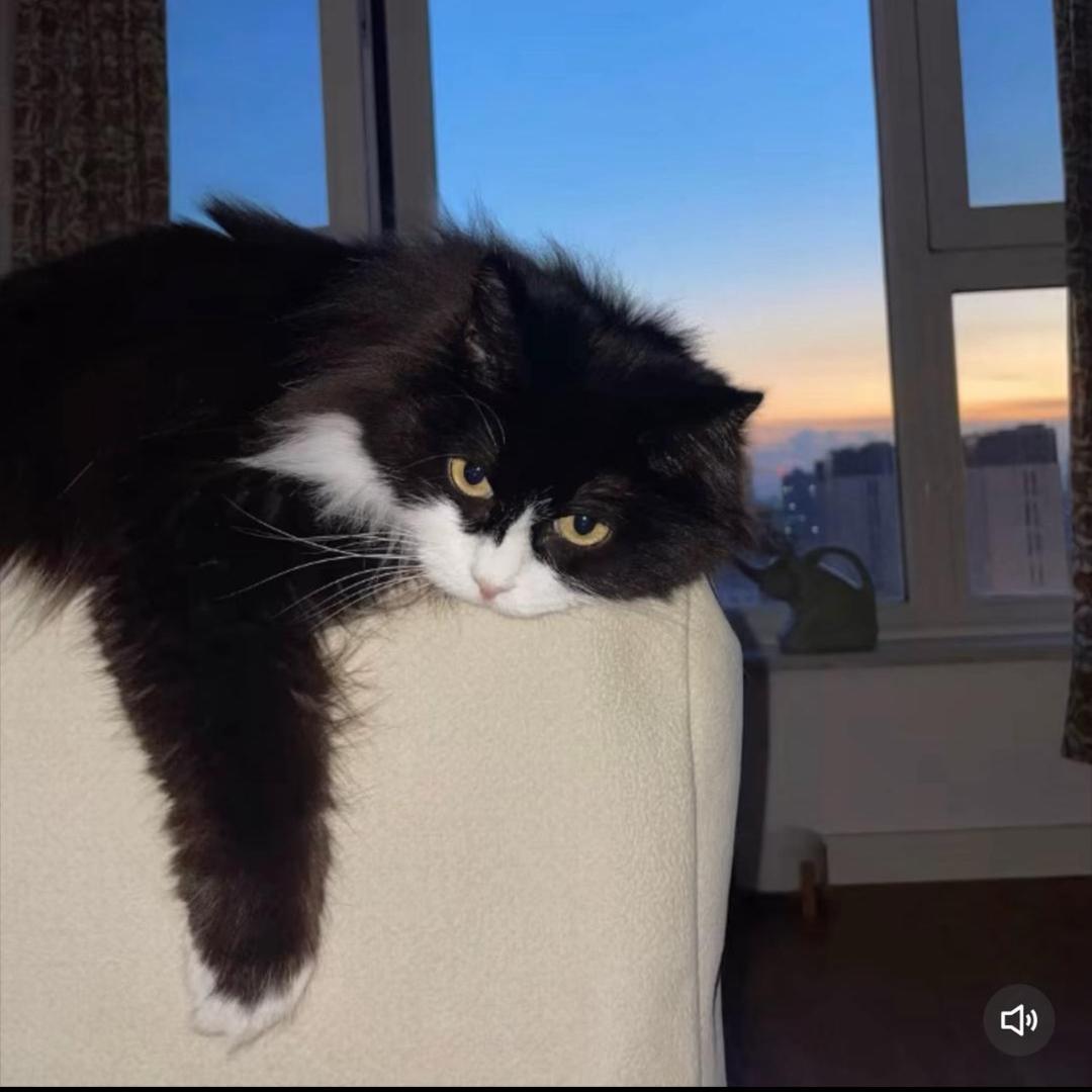 ㅤㅤㅤㅤ￴ ￴ ￴ ￴ ㅤ