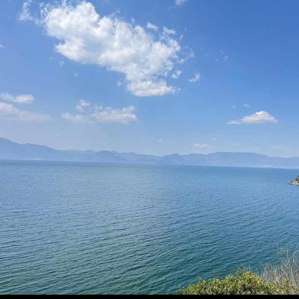 世间花叶不相论