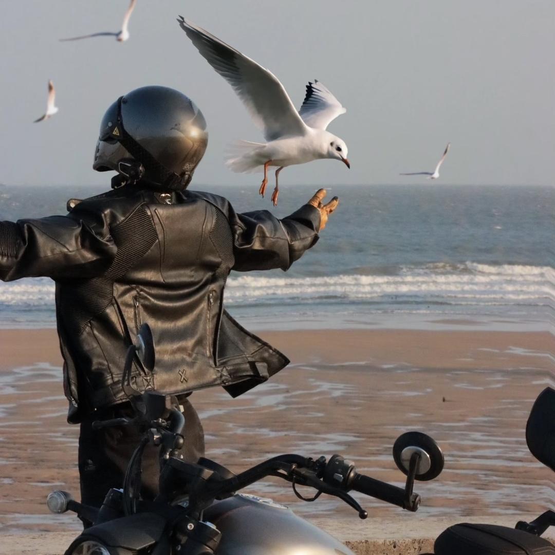 柒祁潮奢（清仓版）