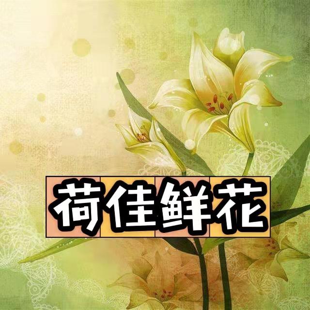 荷佳鲜花店（早上10点半～晚上8点半开播