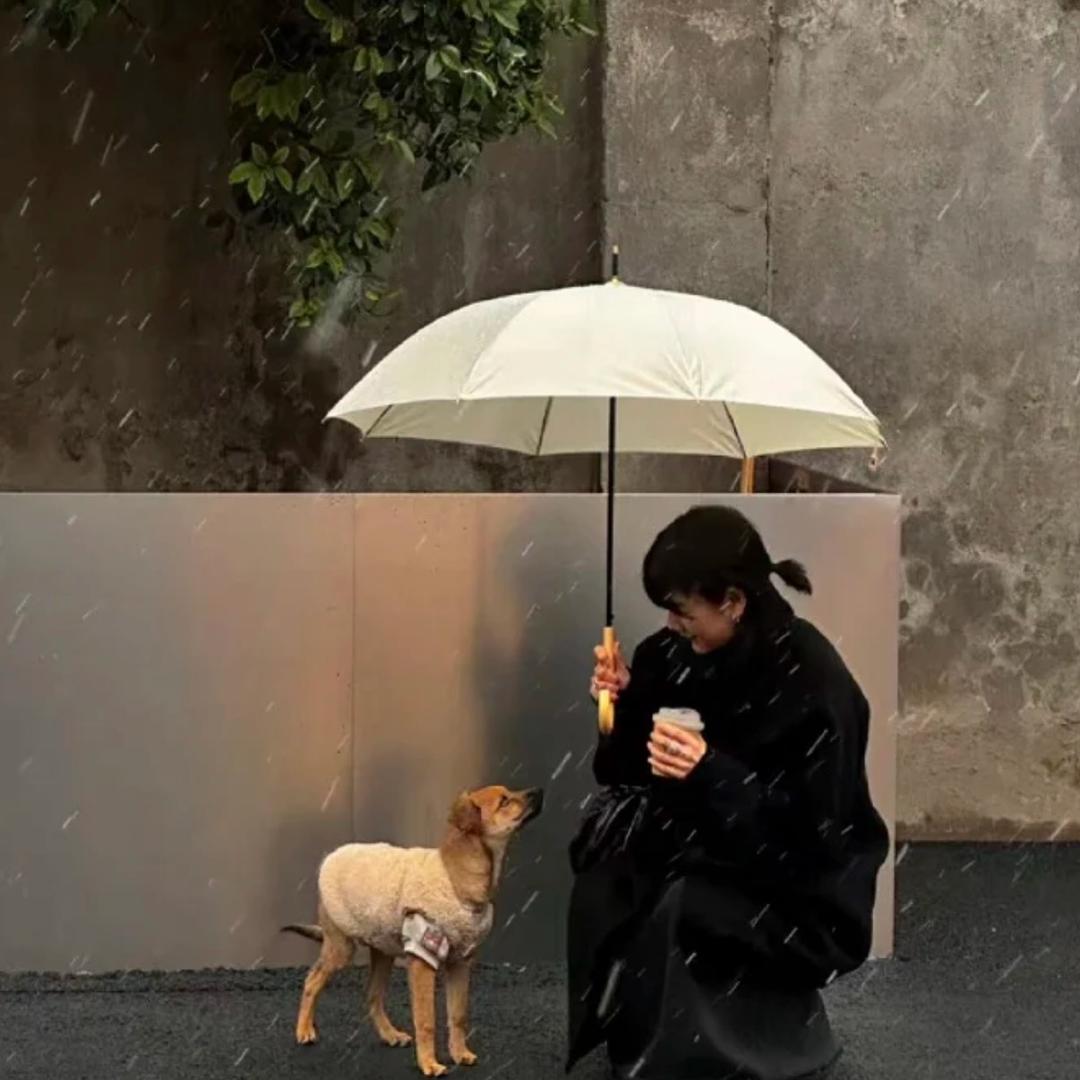 橘子