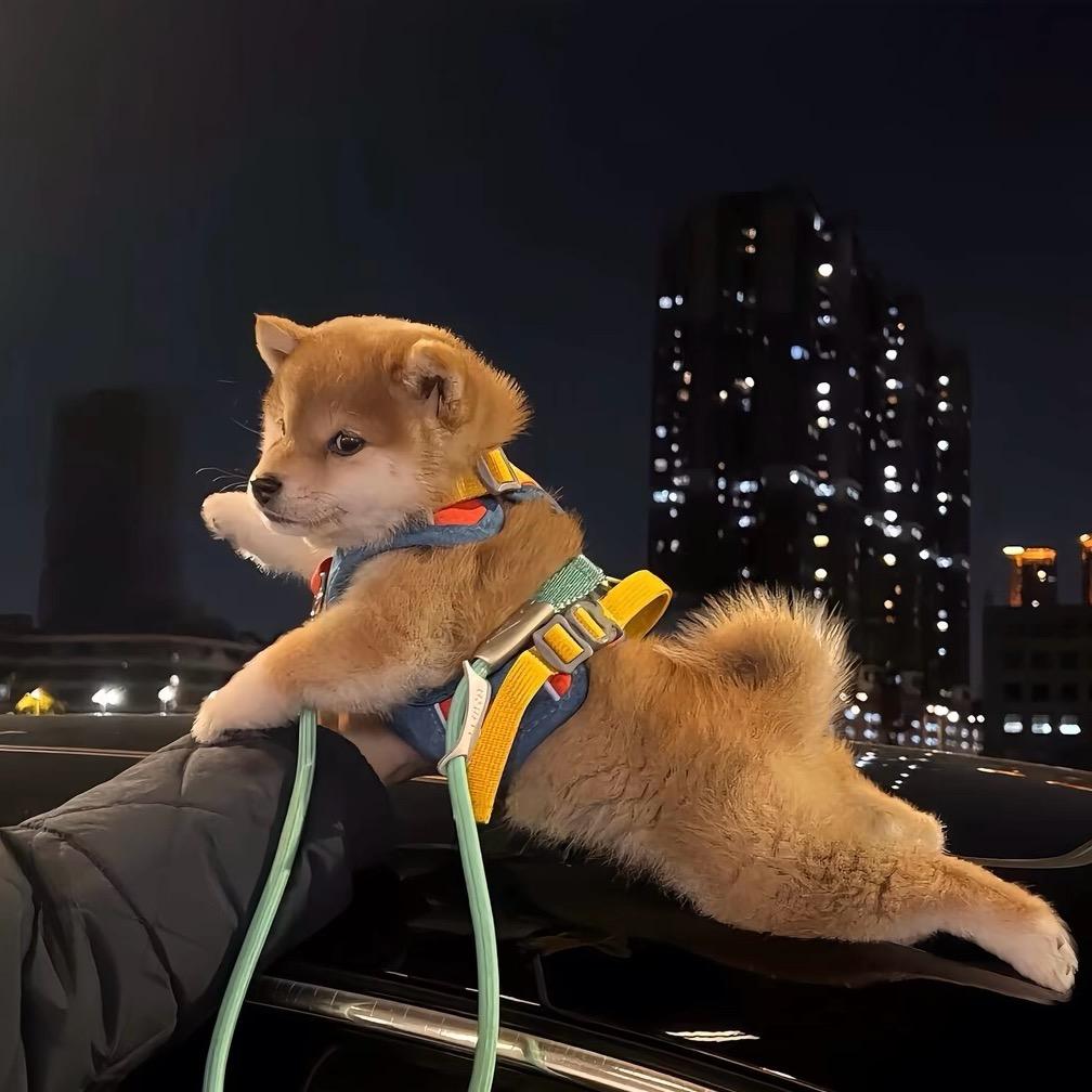 一加壹