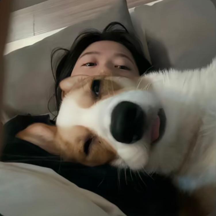黑马.