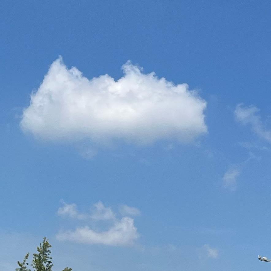 小李家姑娘（潜江名乐木工）