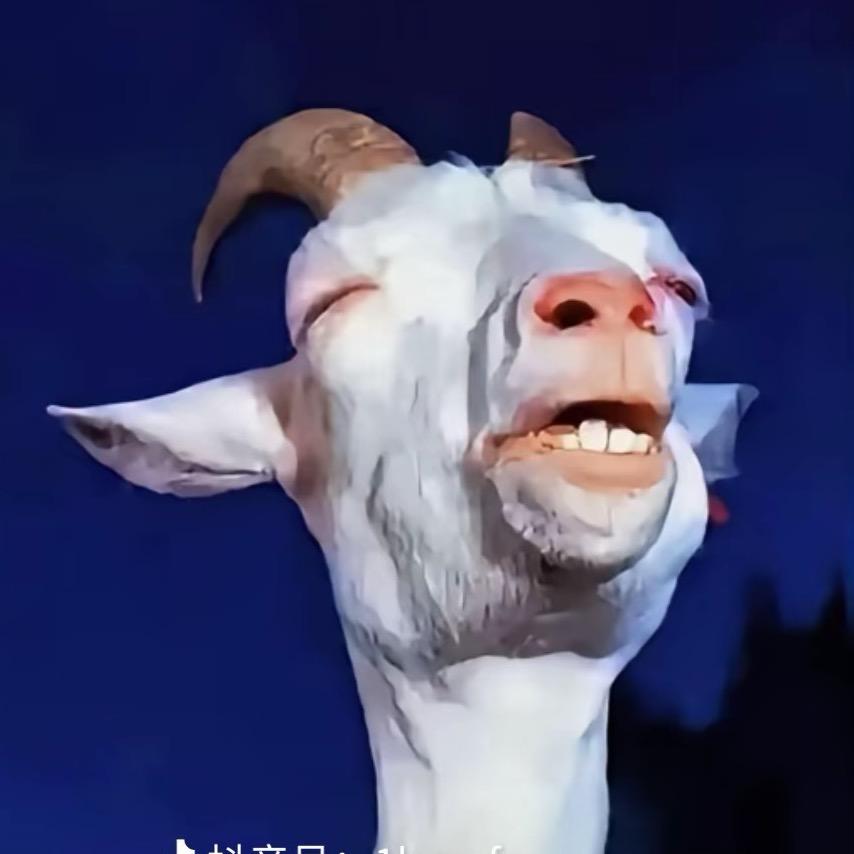 精彩🐉南风