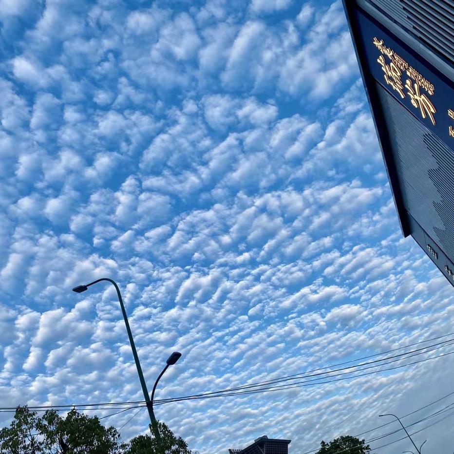 猪头精加工厂品