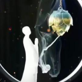 南汐寒笙