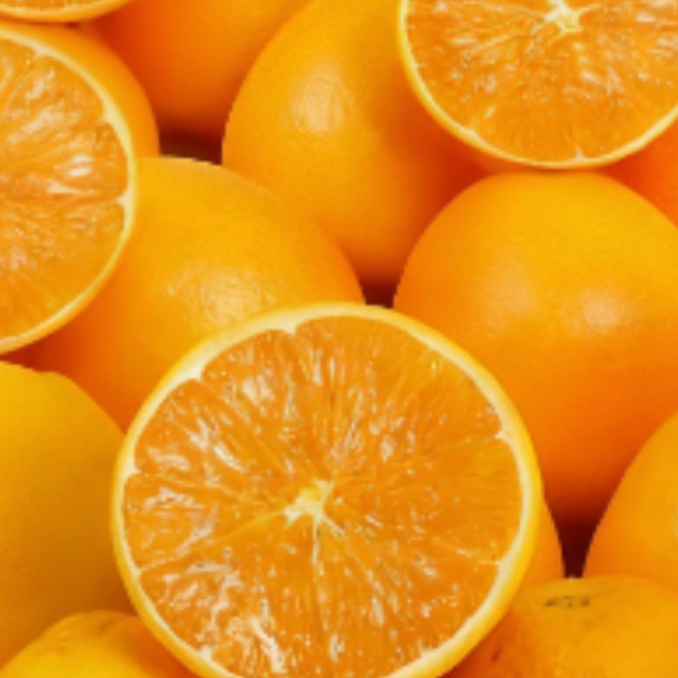 凯迪不拉客，专拉女模特！