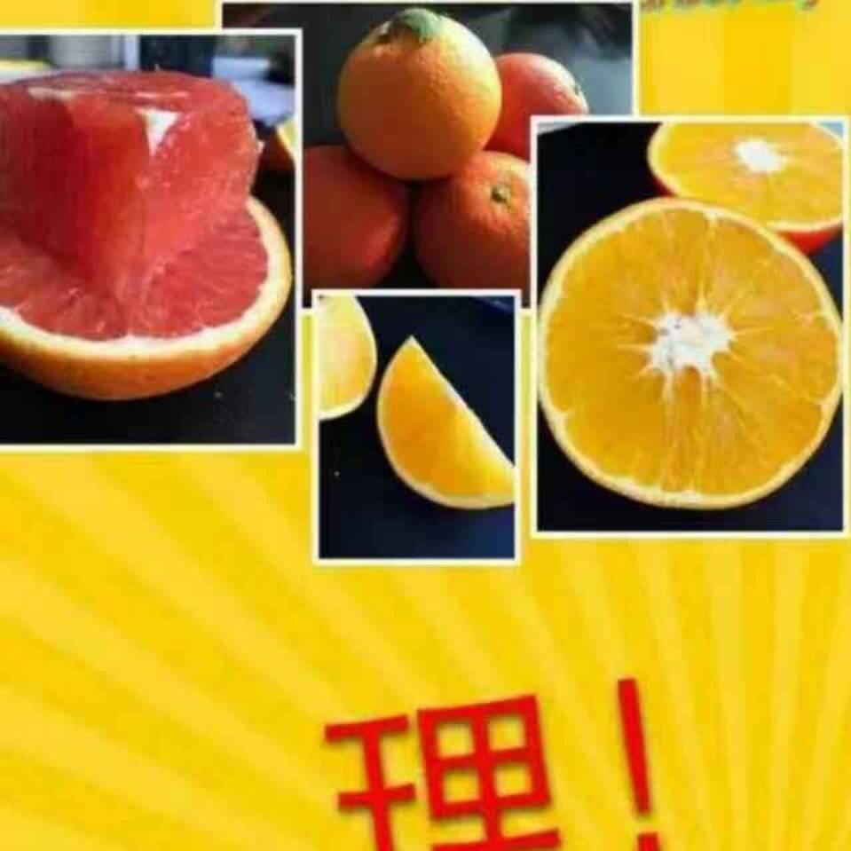 老痞兵 ❤️  沐森哥