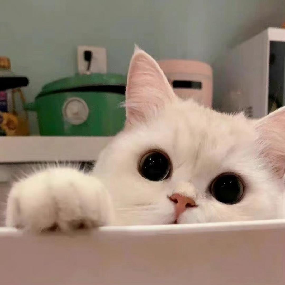 吃完午饭 我将会休息一下