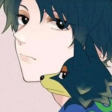 藏书琴