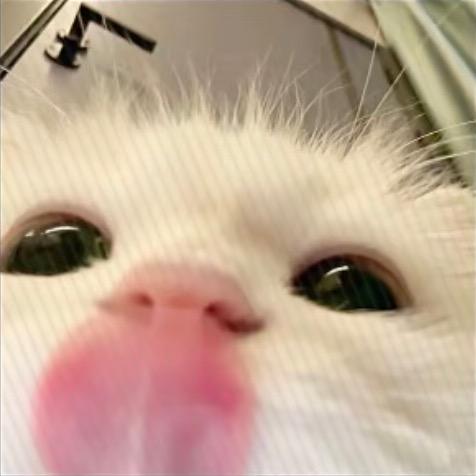 小静要安静
