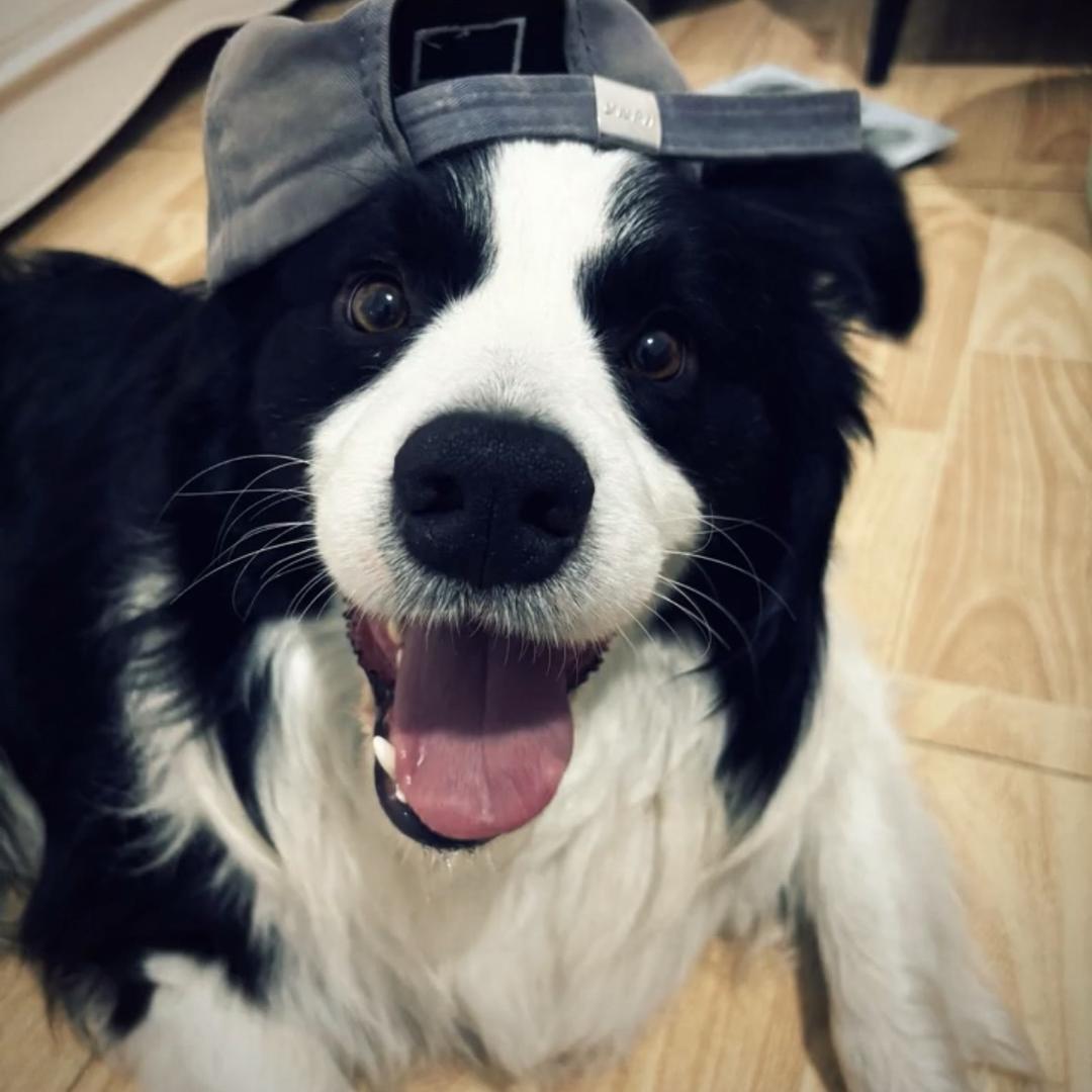 如果你也喜欢日落.