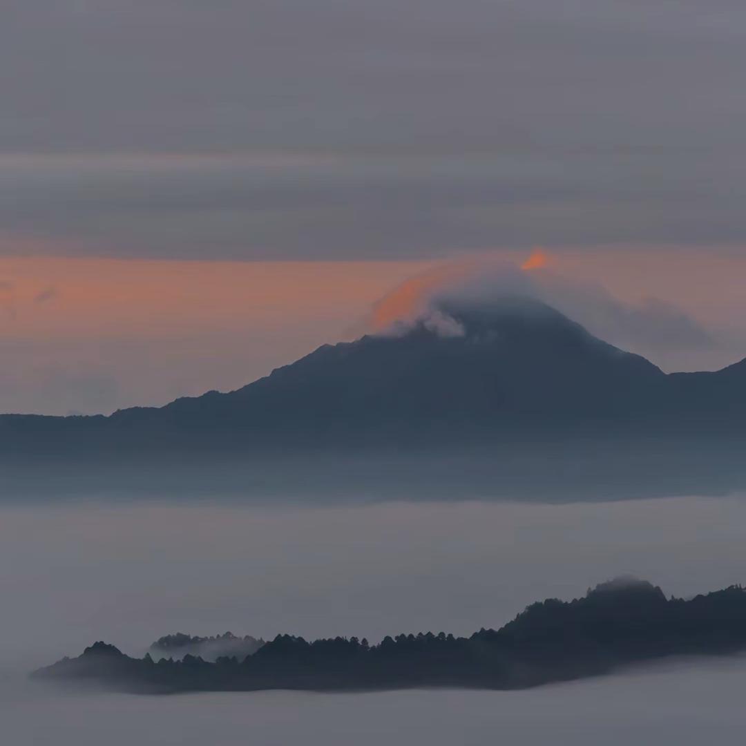 白露横江