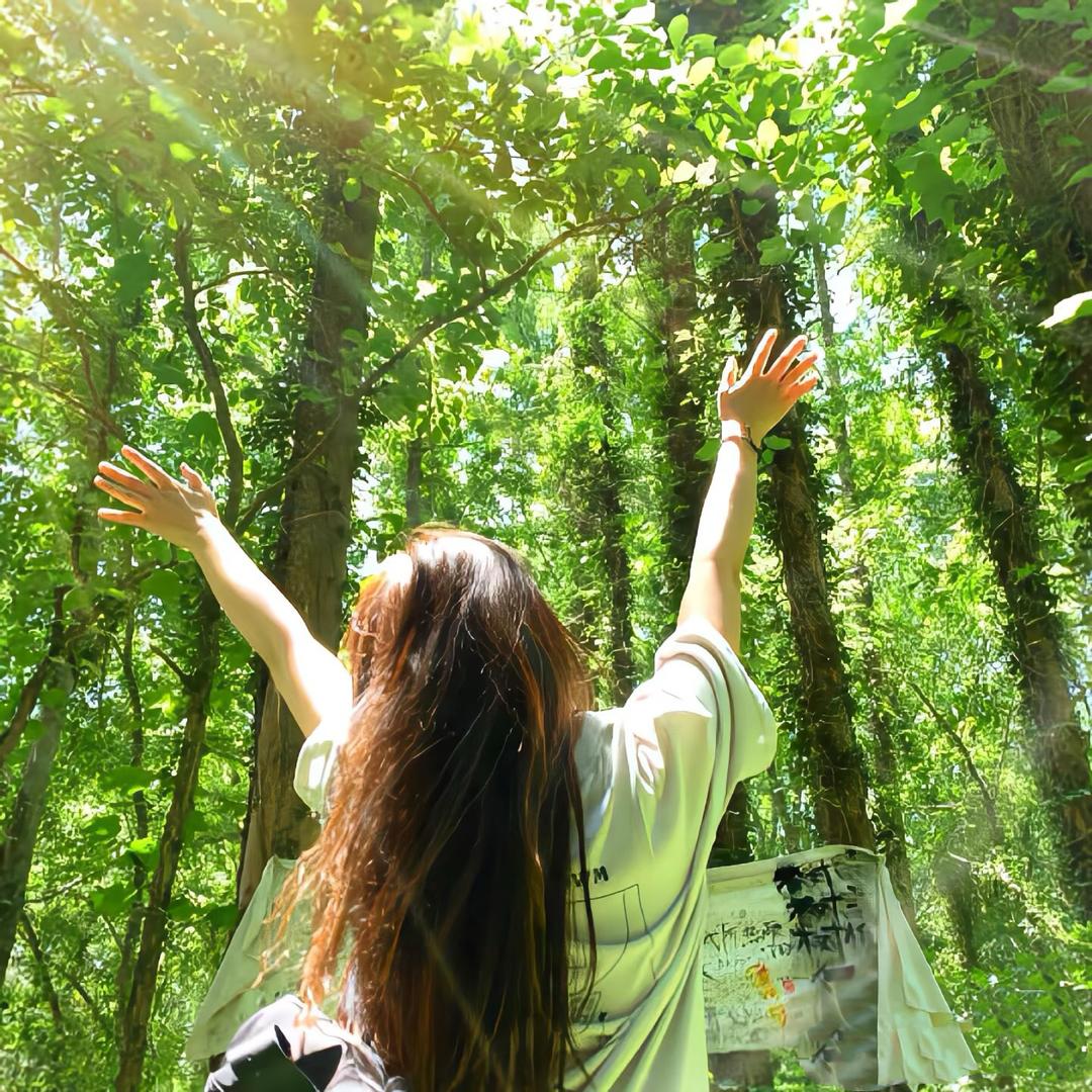 耿直姐的真心安利