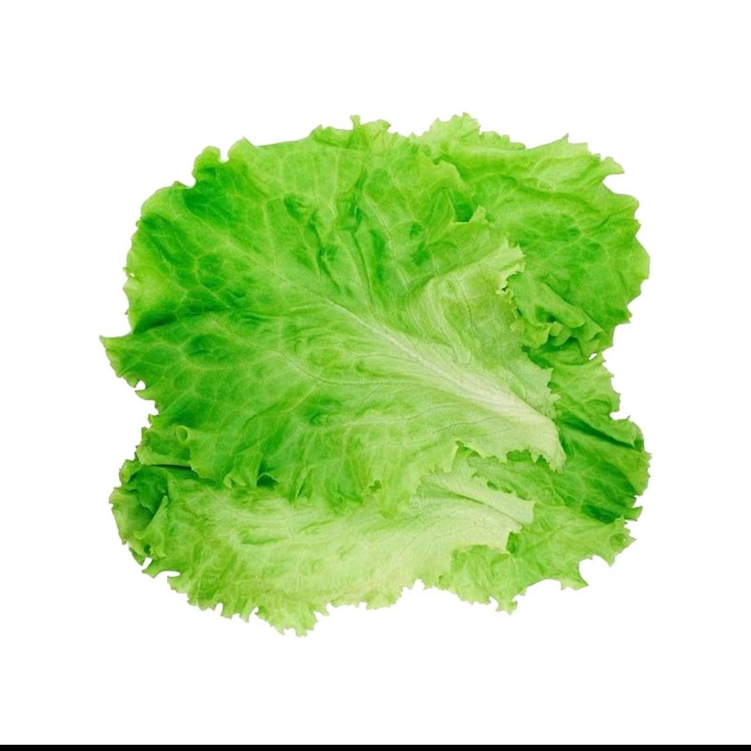 广播体操课代表