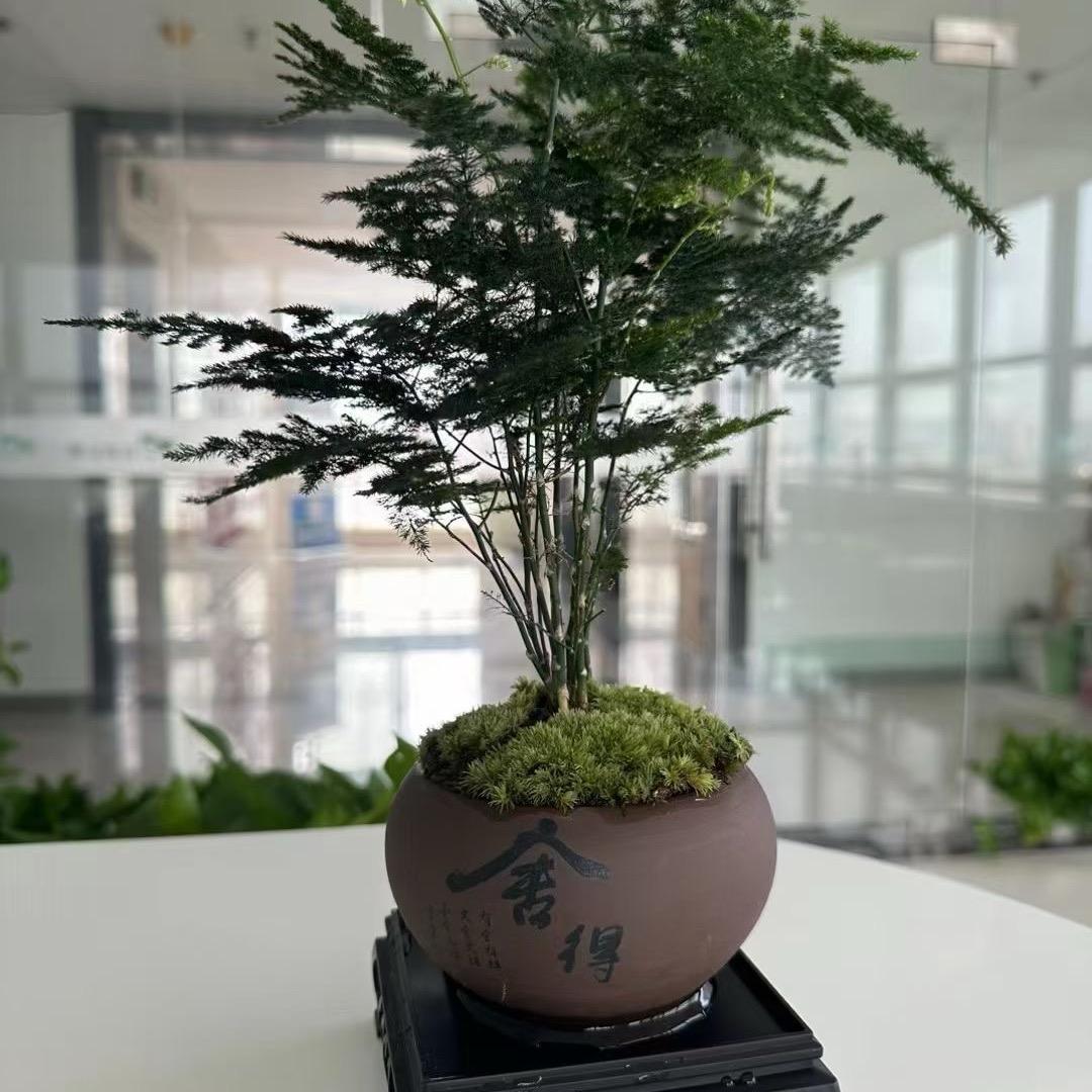 知途不慌
