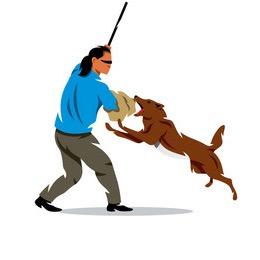 宝哥训犬（聚宠联盟）