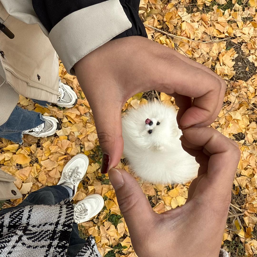 我脸¹点也不圆