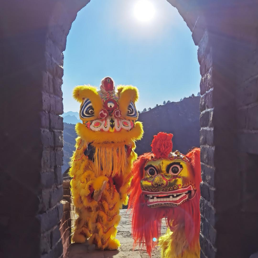 太原市 狮武堂