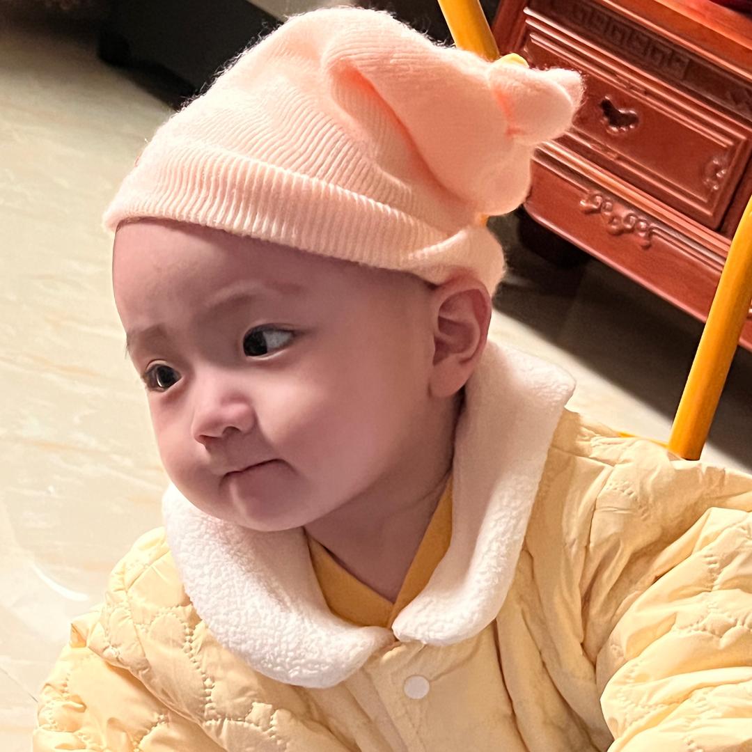 一只蓓蓓吖