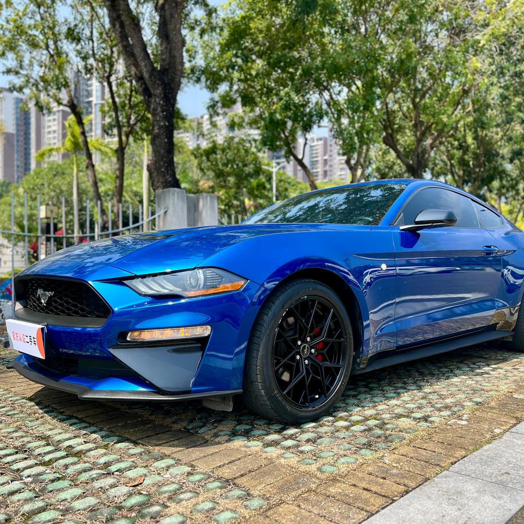 湛江易卡～明哥