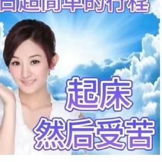 瓜子壳壳壳壳壳