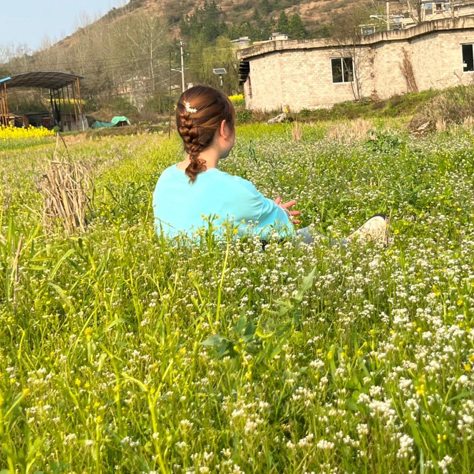 世界屋脊的可可