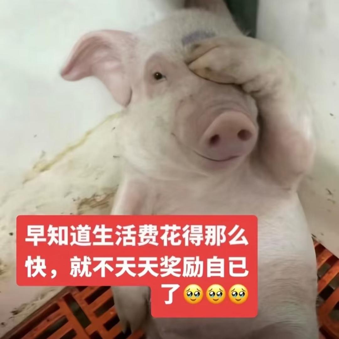 你们所有人的爸爸