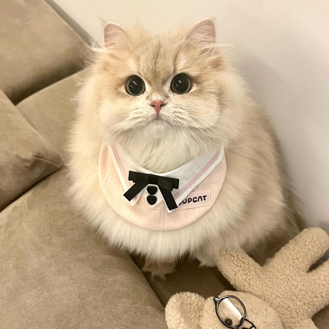 小佬虎喵喵屋
