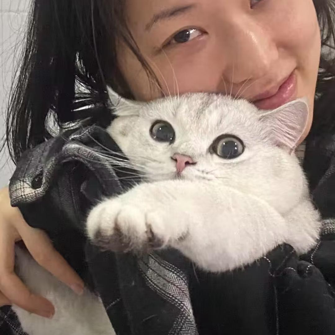 浪漫姐