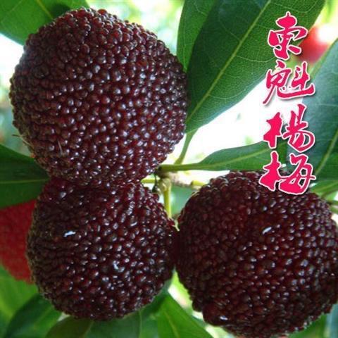 zhangzhaoqiang123