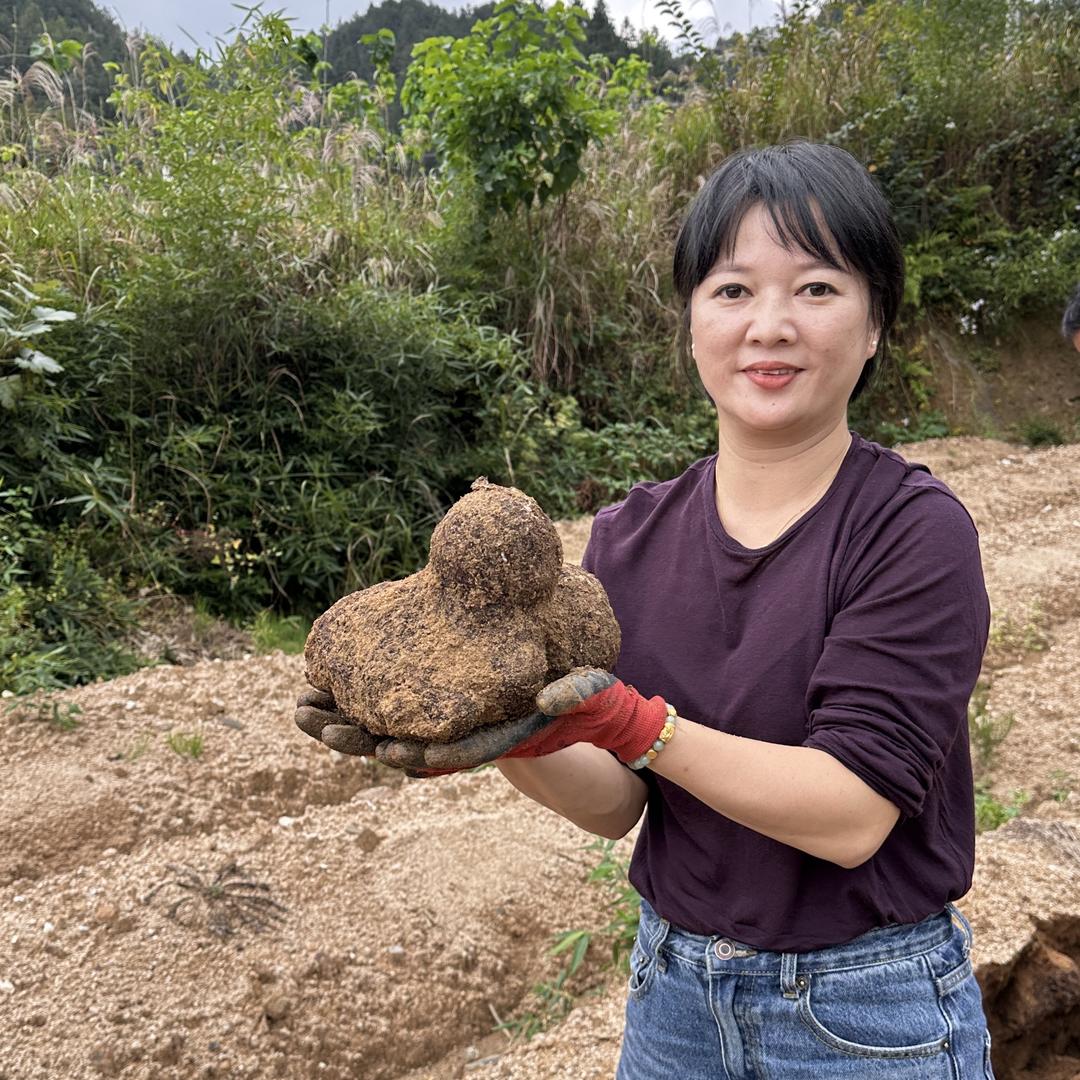小燕子家的茯苓
