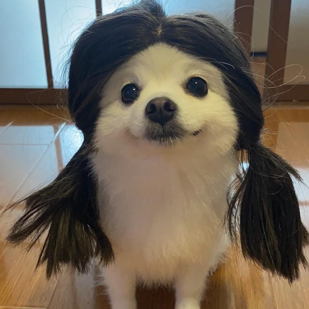 快乐老吴