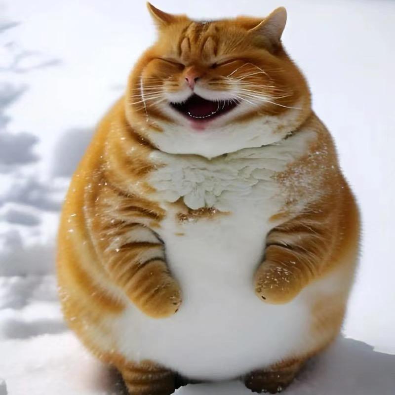 🥀💃温州·加菲猫🐦‍🔥🔥💐