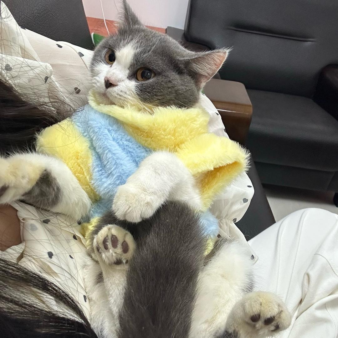 睡 个 懒 觉 ⁸ .