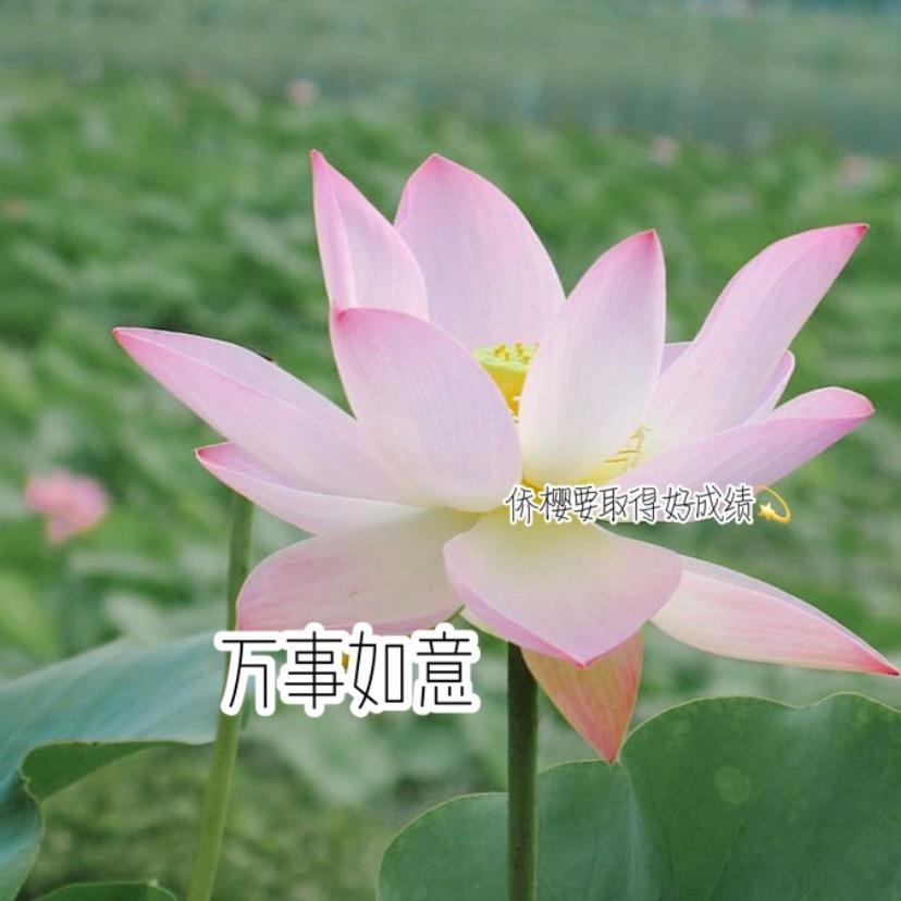 侨樱嘤怪🧸.