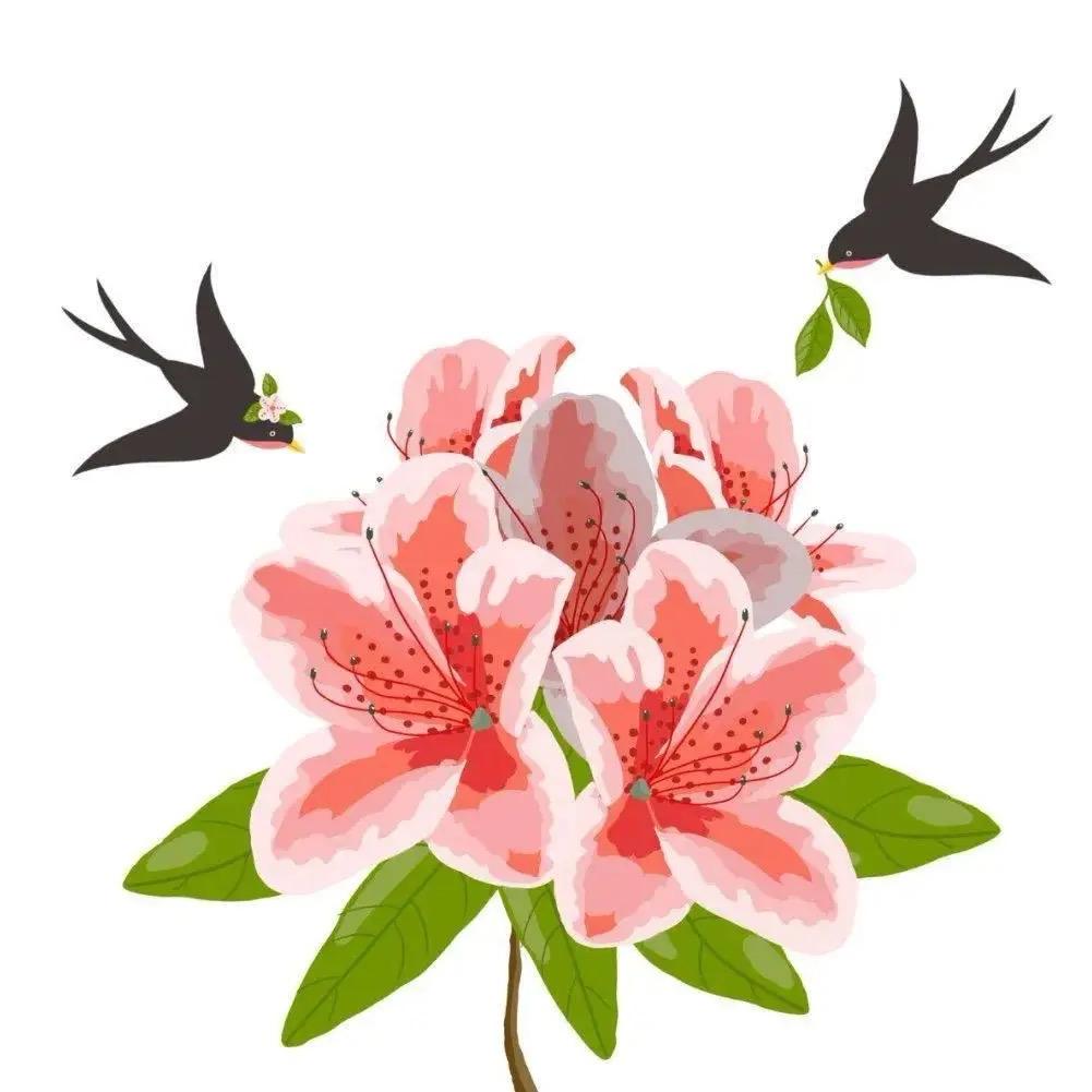 南巷花卉