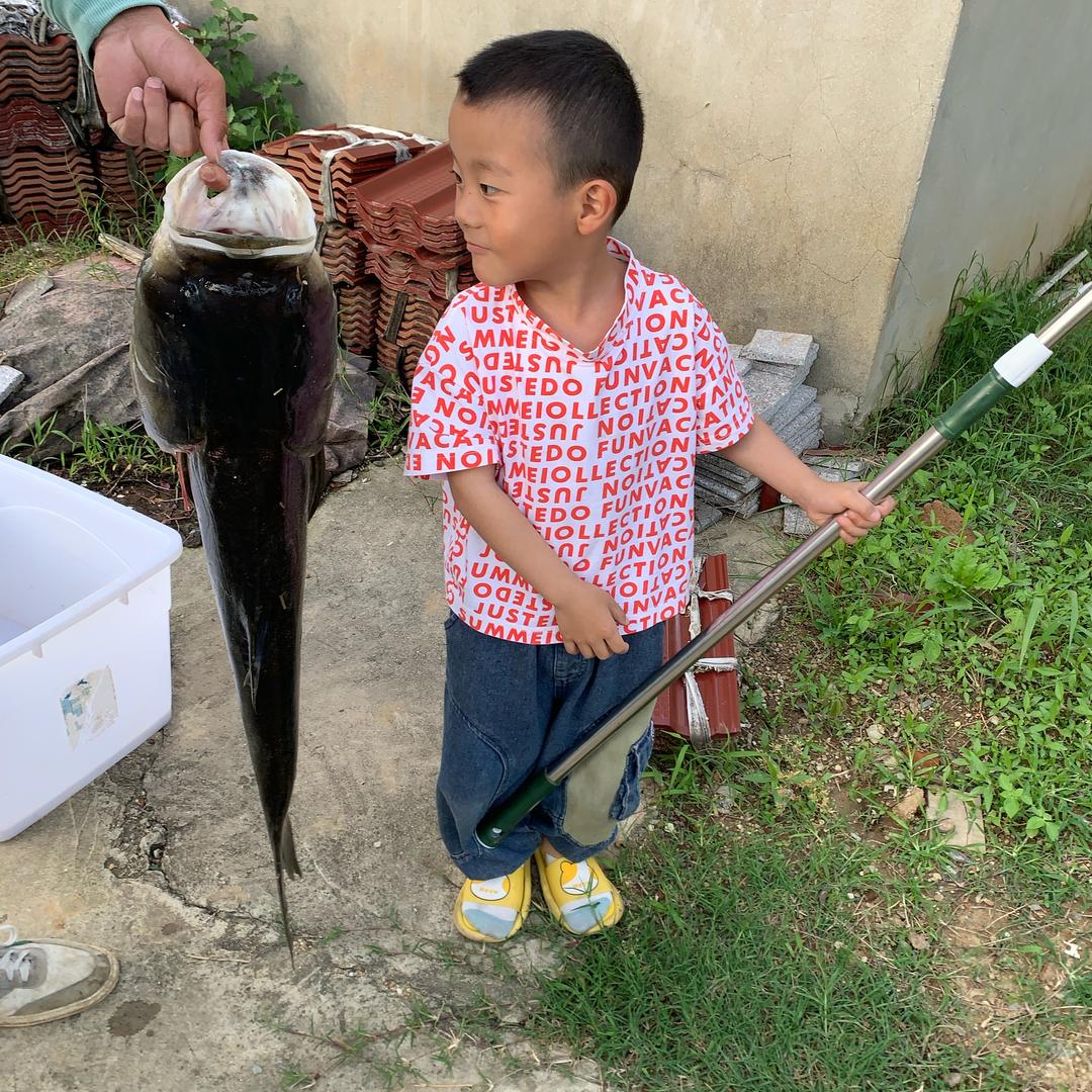 小方钓鱼