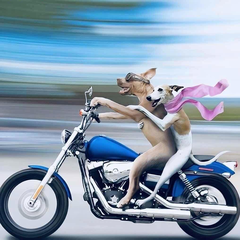 L4L