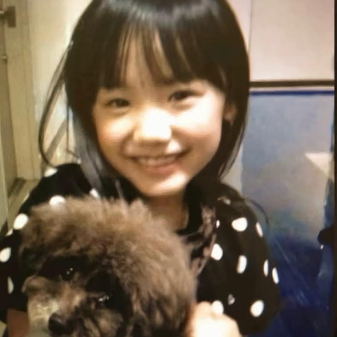 骂我的都是日本人