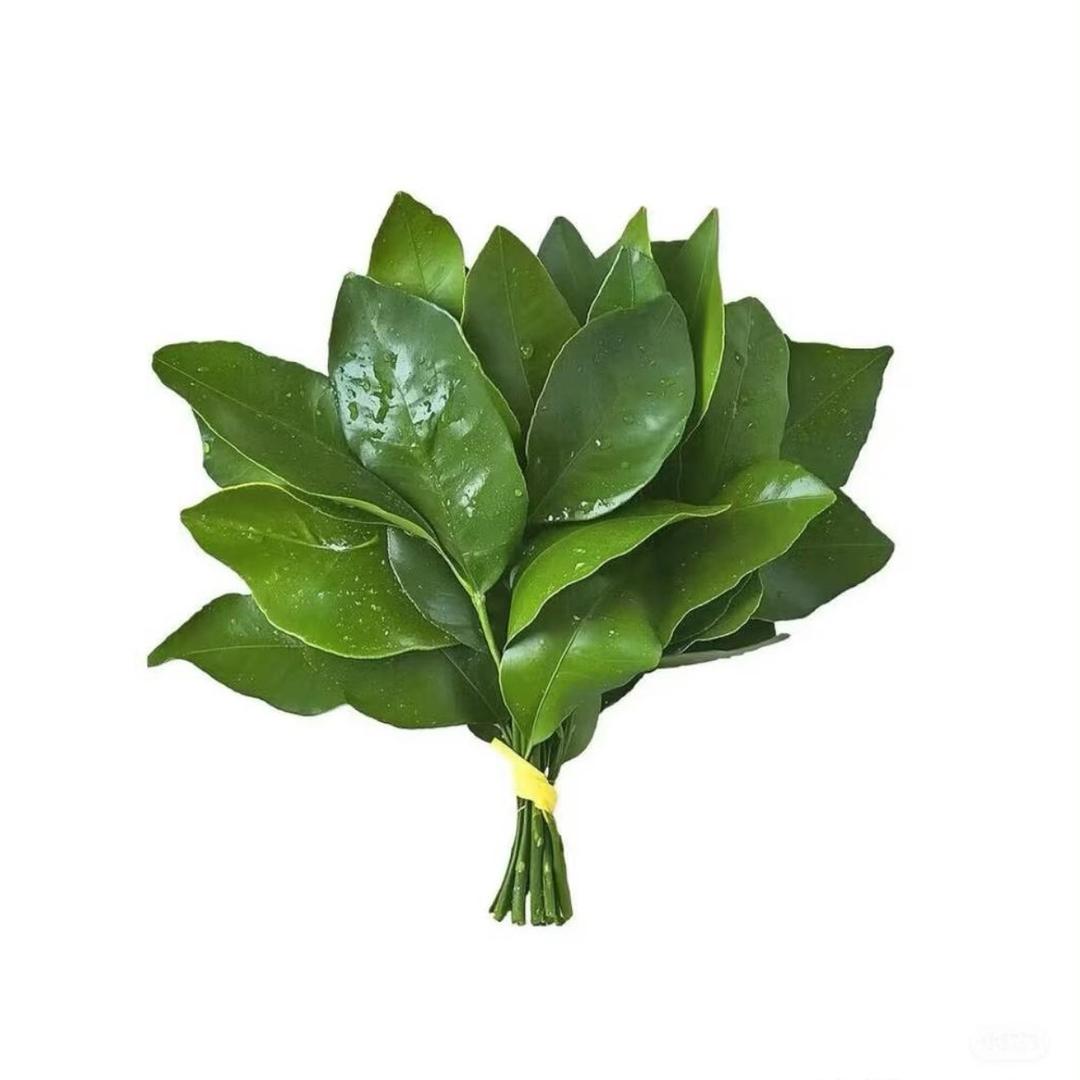 秋 .