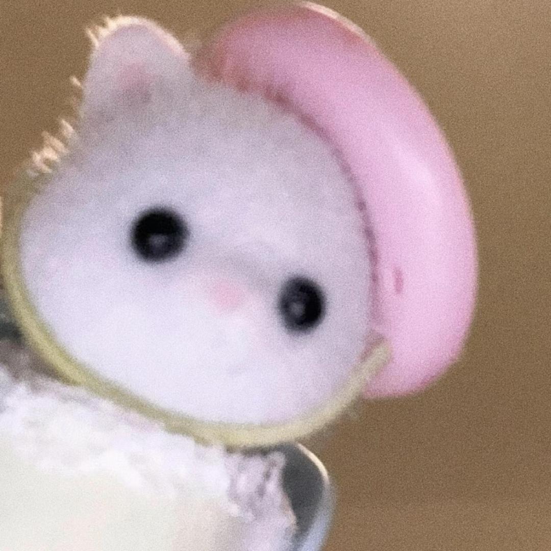 夹心麻团🍥
