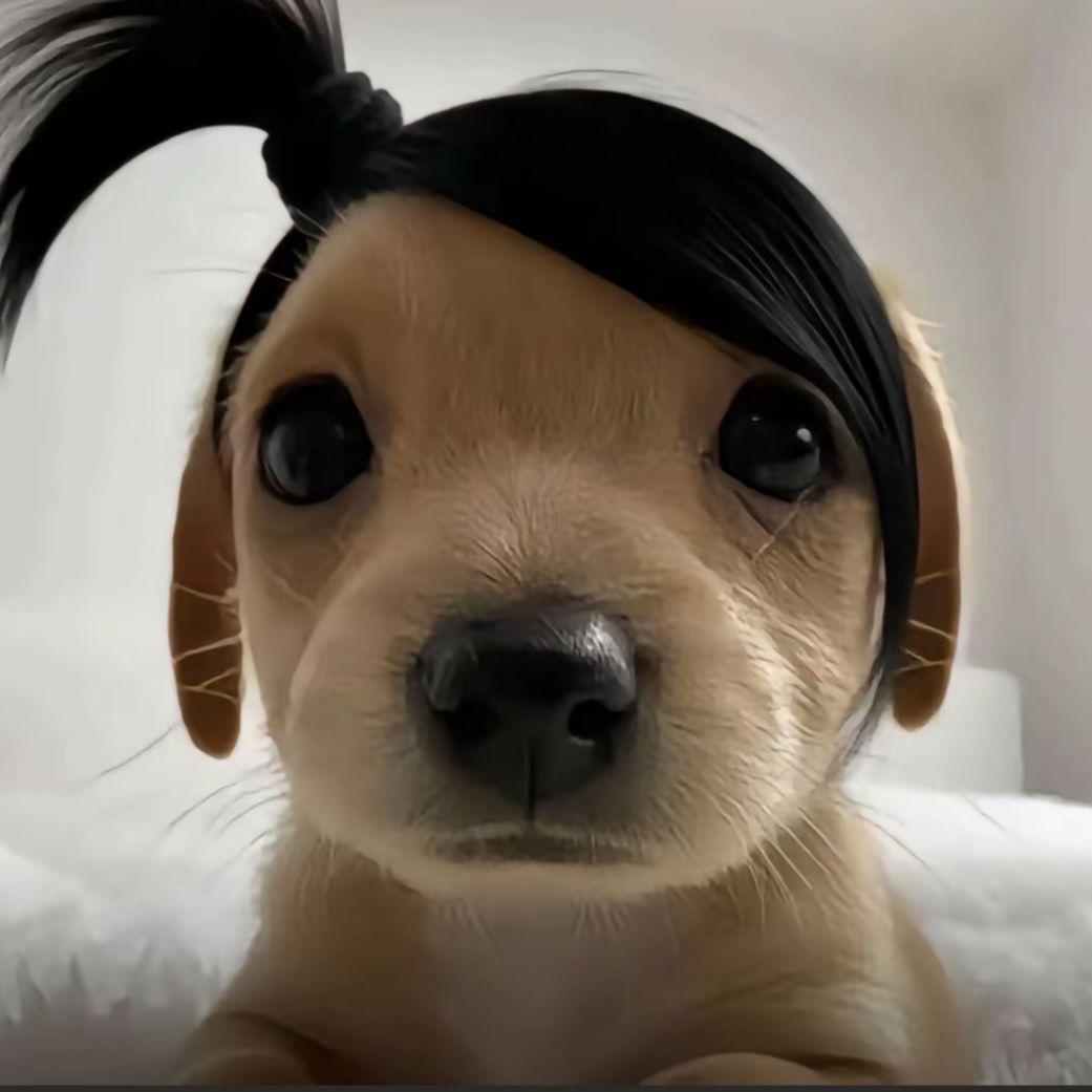 拜托