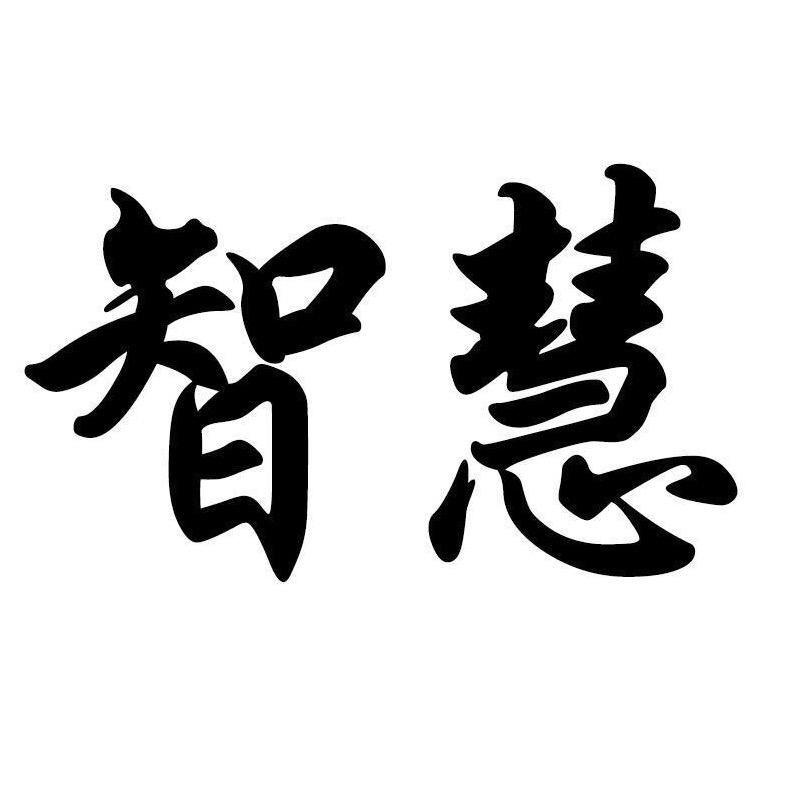 李老师谋略认知