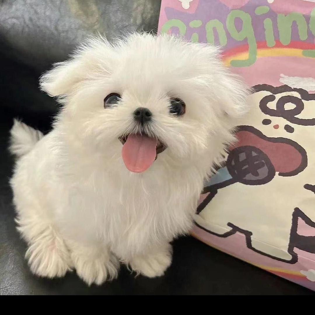 不过我拒绝