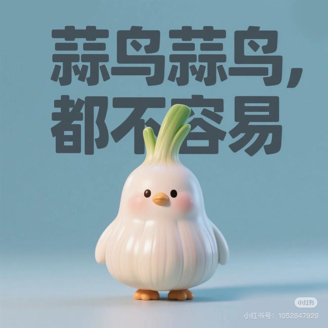 小刘的碎碎念
